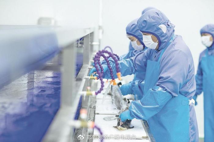 涉縣龍魚店，涉縣有沒有水族店