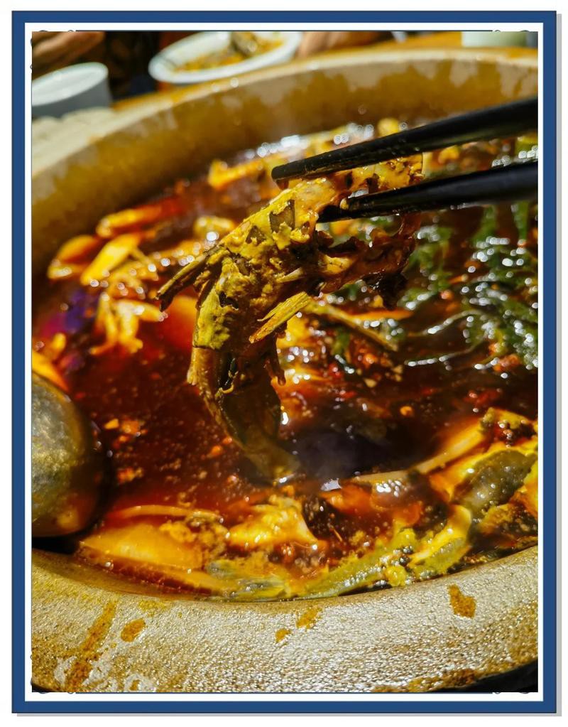 廣漢龍魚店，廣漢有沒有龍魚養(yǎng)殖場
