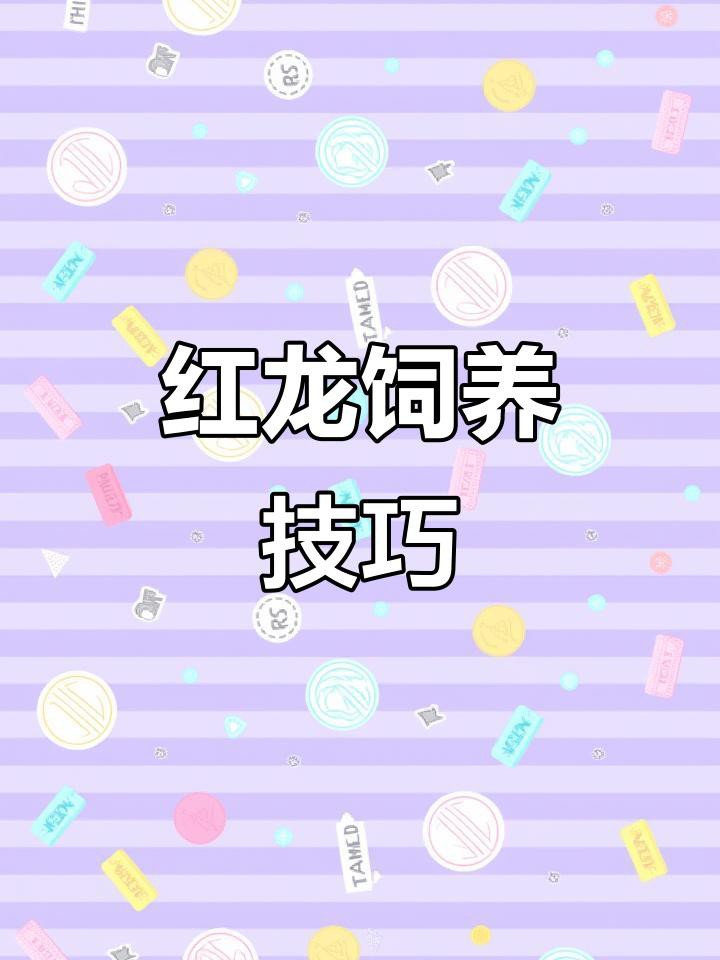 大湖紅龍魚的最佳飼養(yǎng)環(huán)境，大湖紅龍魚飼養(yǎng)技巧