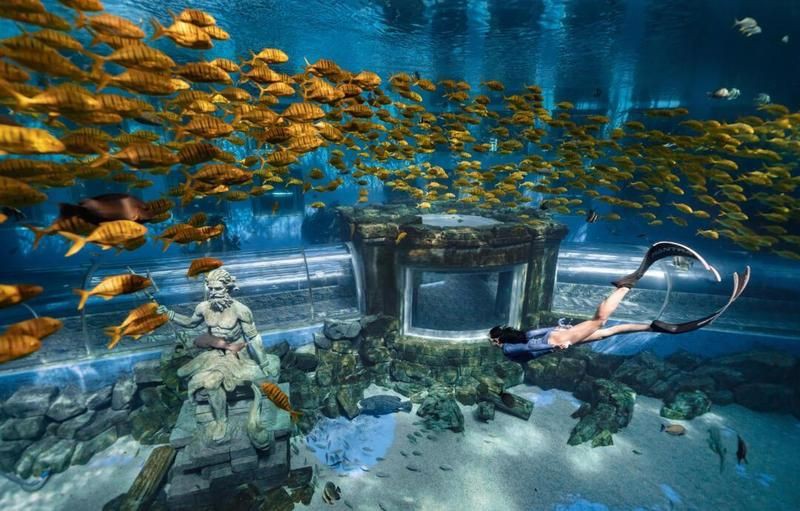 大理白族自治州水族店，云南省大理白族自治州彌渡藝苑水族店