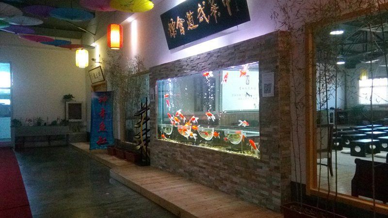 銀川魚缸定做，南寧上門定做觀賞型魚缸