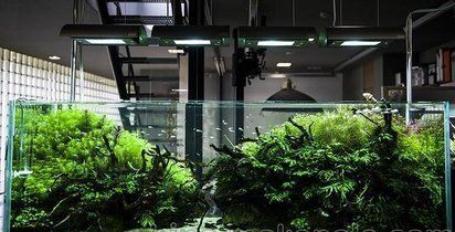 銀川魚缸定做，南寧上門定做觀賞型魚缸