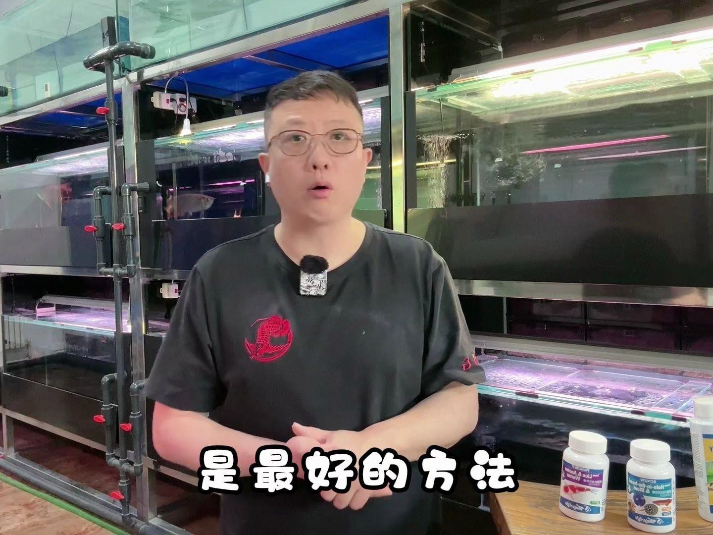 如何為龍魚進行定期檢疫？，廣州龍魚祥龍魚場