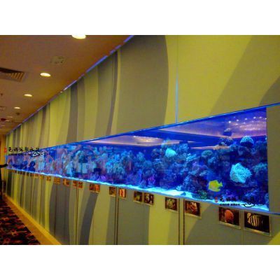 連云港魚缸定做，連云港的魚缸定做服務豐富多樣涵蓋多種類型產品