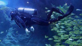 宜昌水族館，宜昌水族世界集活體驗【長江水族世界集活體驗