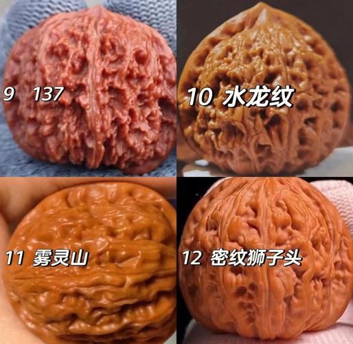 核桃分公母的圖片，《核桃分公母的圖片》核桃分公母的性別特征及鑒別方法