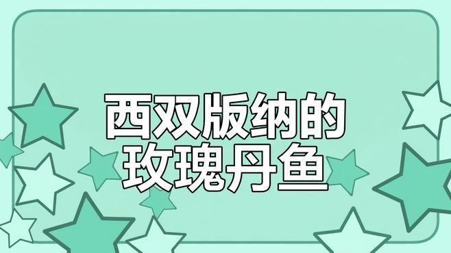 玫瑰丹魚簡介，云南西雙版納熱帶雨林中的玫瑰丹魚好養嗎玫瑰丹魚好養嗎