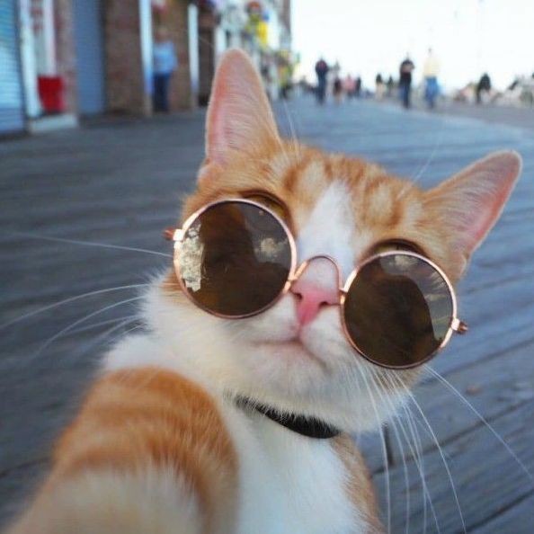 家里生小魚旺人預(yù)兆，家里養(yǎng)了一條魚，你有什么感受？ 家里生小魚旺人預(yù)兆，家里養(yǎng)了一條魚，你有什么感受？ 全國水族館企業(yè)名錄 第11張