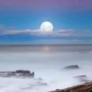 家里生小魚旺人預(yù)兆，家里養(yǎng)了一條魚，你有什么感受？ 家里生小魚旺人預(yù)兆，家里養(yǎng)了一條魚，你有什么感受？ 全國水族館企業(yè)名錄 第10張