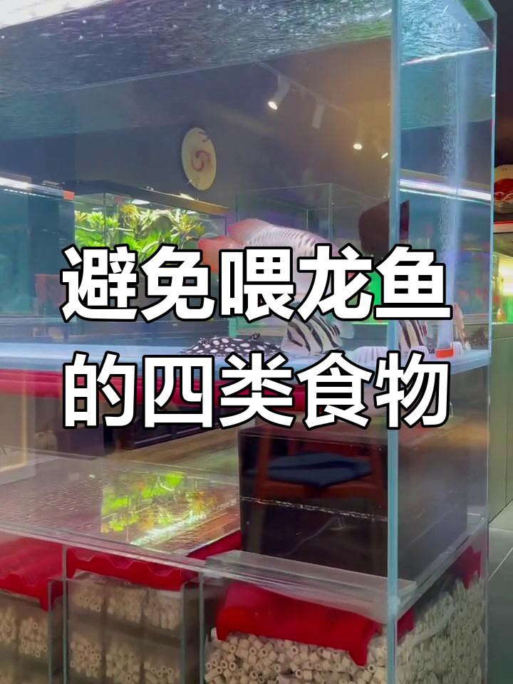 哪些食物不適合喂龍魚？，《哪些食物不適合喂龍魚》哪些食物不適合喂龍魚
