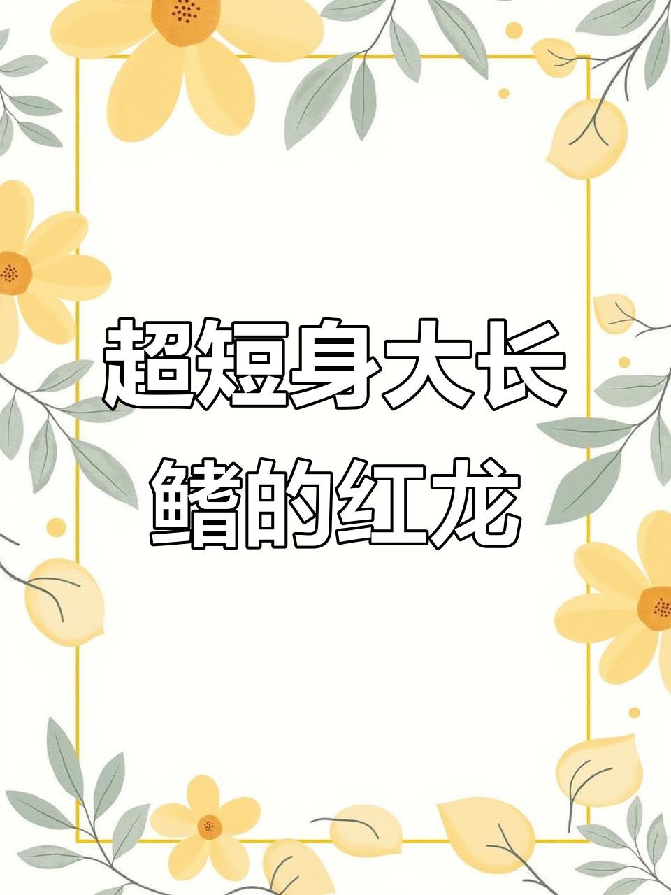 如何挑選高品質的短身紅龍魚？，如何挑選優質紅龍魚掌握這些關鍵點避免選錯瑾霖曦月
