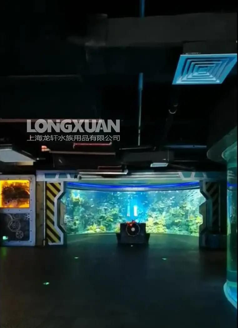 來賓魚缸定做，上海龍軒大型亞克力魚缸定制全流程詳解18歲少女炒番茄