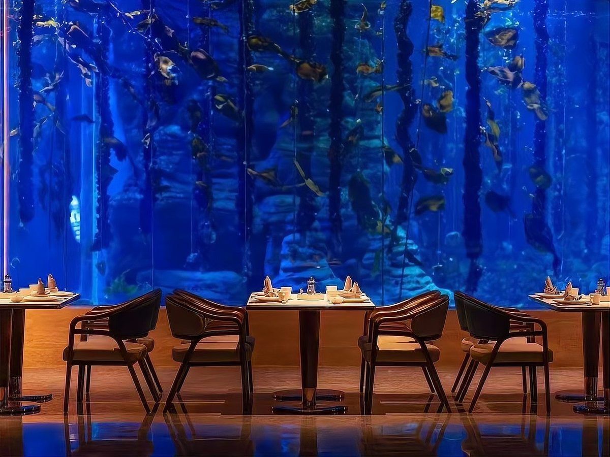 興平龍魚店，興平地區(qū)有龍魚養(yǎng)殖場嗎