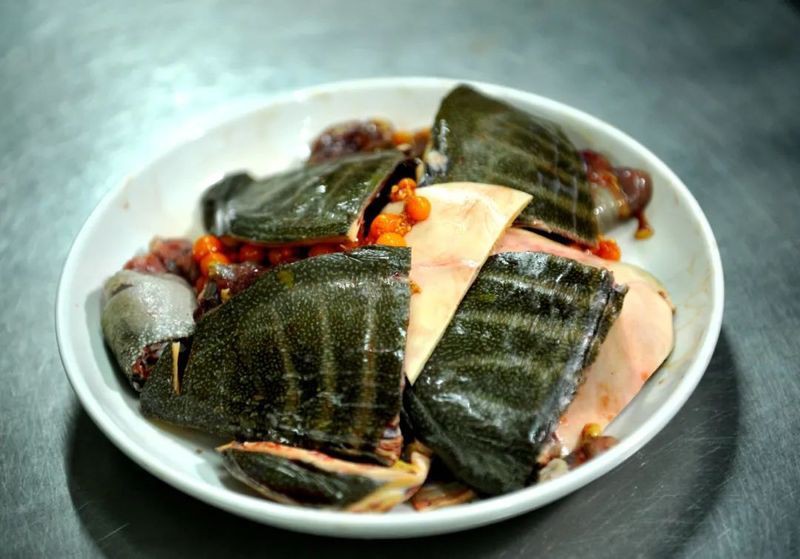 黃石龍魚店，湖北省黃石市小宋水族