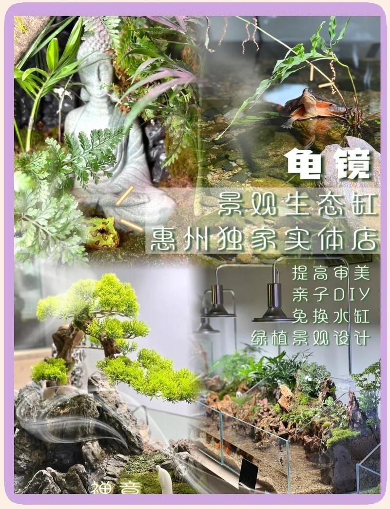 惠州魚缸店，惠州市惠陽區新圩鱻源魚缸店怎么樣 惠州魚缸店，惠州市惠陽區新圩鱻源魚缸店怎么樣 全國水族館企業名錄 第5張