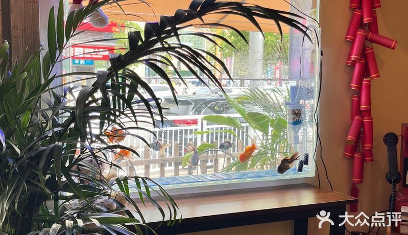 惠州魚缸店，惠州市惠陽區新圩鱻源魚缸店怎么樣 惠州魚缸店，惠州市惠陽區新圩鱻源魚缸店怎么樣 全國水族館企業名錄 第3張