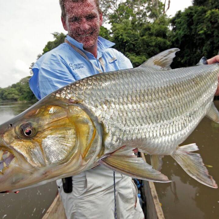 猛魚，《猛魚》影評