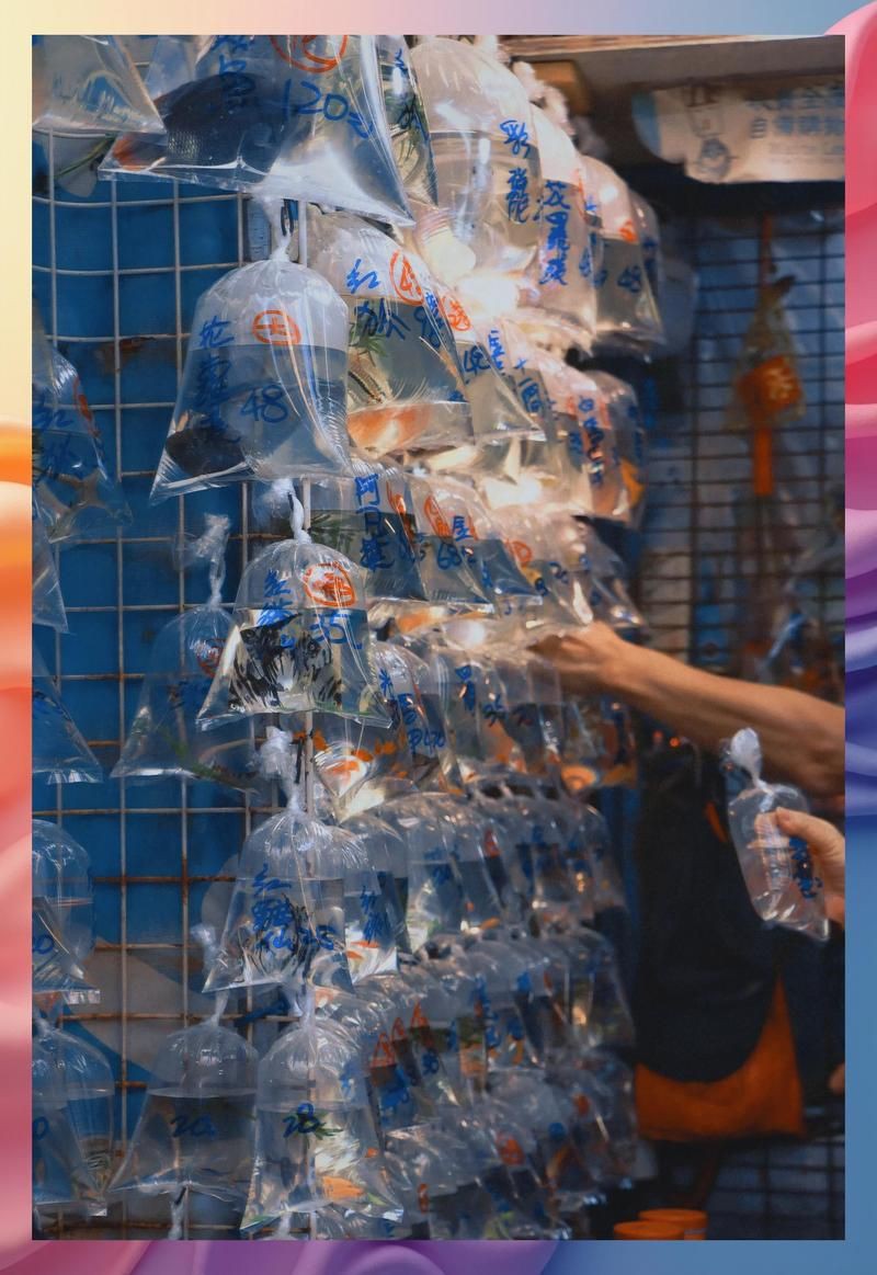 香港水族批發(fā)市場，香港仔魚類批發(fā)市場