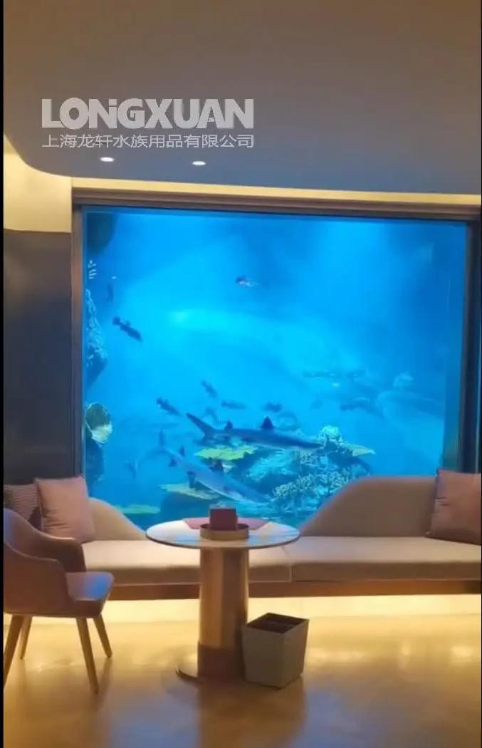 70厘米水位飼養龍魚需要哪些裝飾物？，70厘米水位飼養龍魚所需的裝飾品