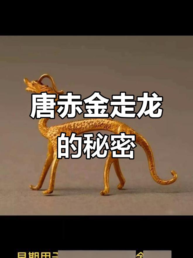 古典金龍裝飾風格的歷史起源，古典金龍裝飾風格在現代有哪些地方最為常見唐代赤金走龍的制作工藝 古典金龍裝飾風格的歷史起源，古典金龍裝飾風格在現代有哪些地方最為常見唐代赤金走龍的制作工藝 龍魚百科