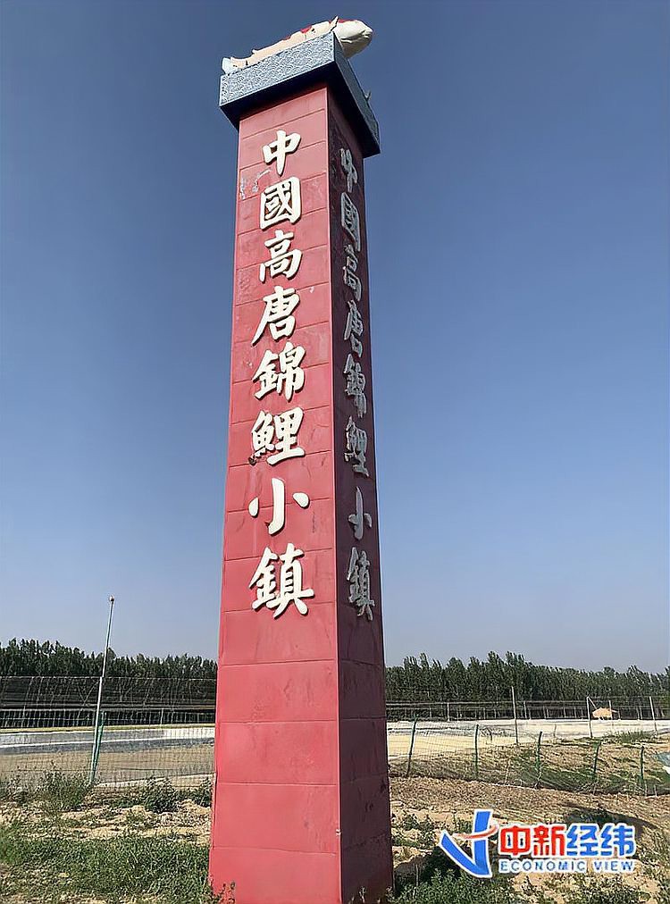 清原龍魚店，清原龍魚店具有傳奇色彩的觀光游要排兩個多月海報新聞