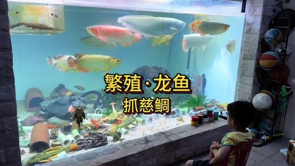工布江達龍魚店，工布江達地區的“龍魚店”是當地特色餐飲的代表之一