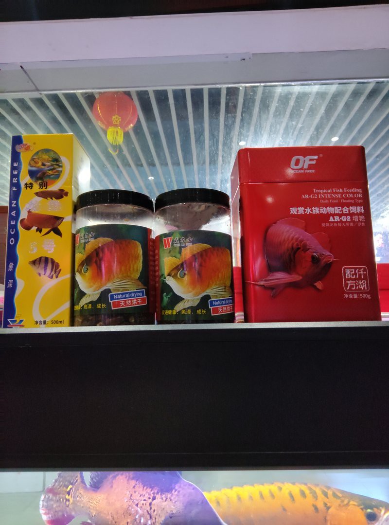 仟湖傲深5號使用手冊最新章節更新，仟湖傲深5號治立鱗使用全解