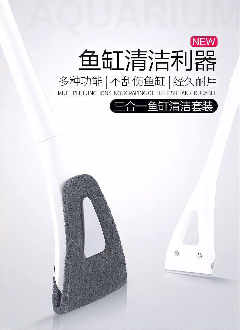 珠海魚缸維護，珠海魚缸專業(yè)維護全攻略
