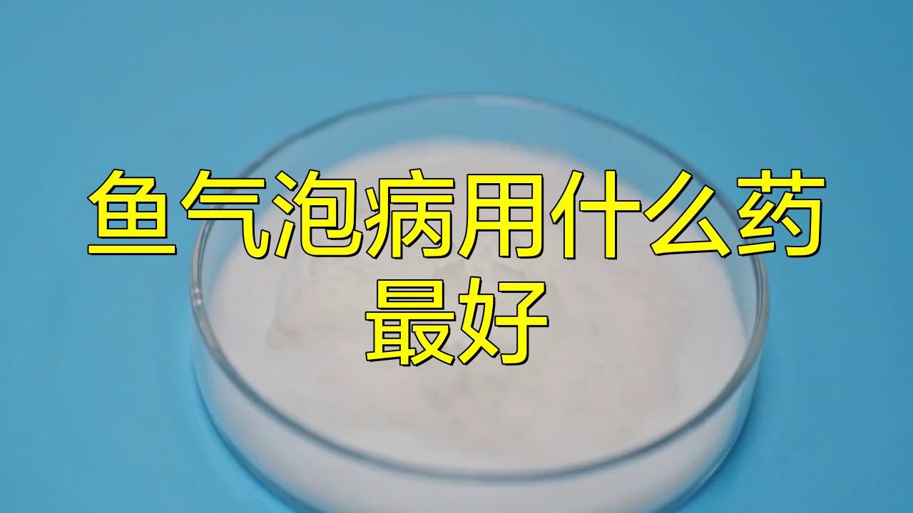 有哪些藥物可以有效治療龍魚水泡病？，魚氣泡病用什么藥最好養生藥庫