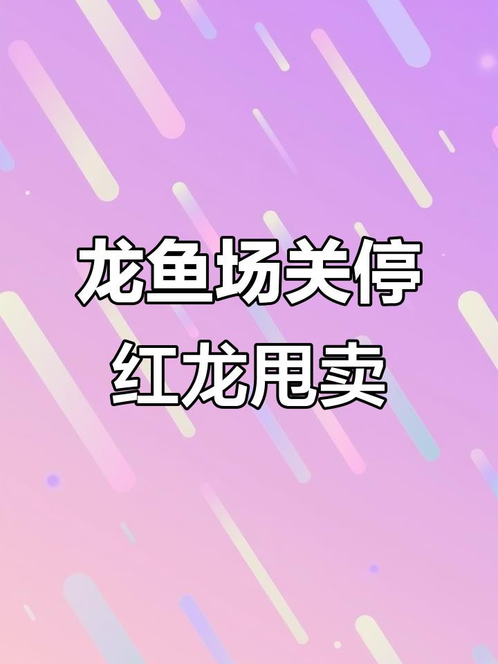 天價紅龍魚為何滯銷？，《天價紅龍魚為何滯銷》揭秘紅龍魚價格昂貴背后的故事
