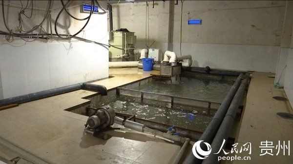 遵義水族批發(fā)市場，遵義最大的水產(chǎn)市場