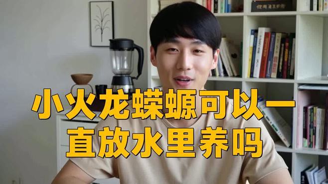 如何保持小火龍魚飼養(yǎng)水的清潔？，《如何保持小火龍魚飼養(yǎng)水的清潔？》 如何保持小火龍魚飼養(yǎng)水的清潔？，《如何保持小火龍魚飼養(yǎng)水的清潔？》 龍魚百科 第9張