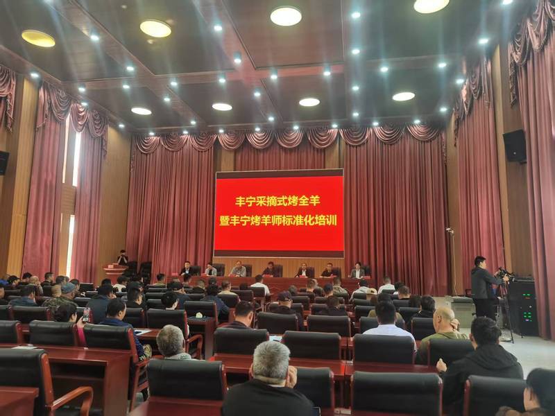 豐寧龍魚店，豐寧龍魚店豐寧龍魚店哪家評價最好哪家評價最好