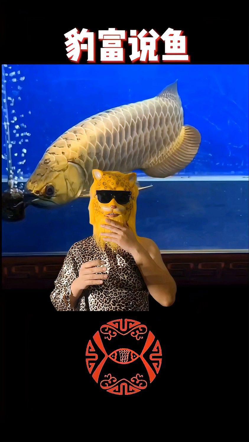 養紅龍魚晚上關不關燈，養紅龍魚晚上關燈對龍魚有害嗎如何正確飼養金龍紅龍 養紅龍魚晚上關不關燈，養紅龍魚晚上關燈對龍魚有害嗎如何正確飼養金龍紅龍 龍魚百科 第3張