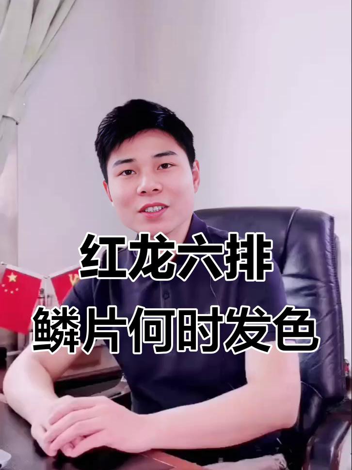 如何判斷紅龍是否健康發色？，原龍工作室-將軍、巴婁紅龍魚第六排鱗片發色時機揭秘 如何判斷紅龍是否健康發色？，原龍工作室-將軍、巴婁紅龍魚第六排鱗片發色時機揭秘 龍魚百科 第2張