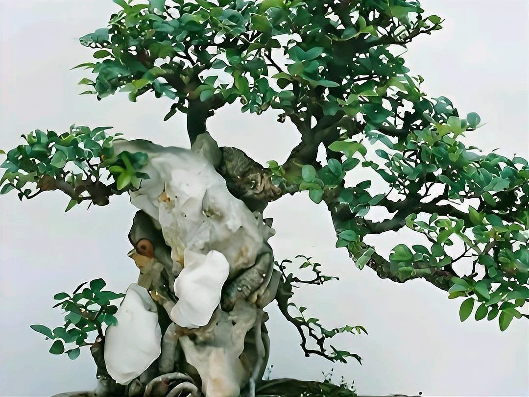 衢州魚缸批發市場,浙江衢州魚缸批發市場 全國水族館企業名錄 第10張 衢州魚缸批發市場,浙江衢州魚缸批發市場 衢州魚缸批發市場,浙江衢州魚缸批發市場 全國水族館企業名錄 第10張