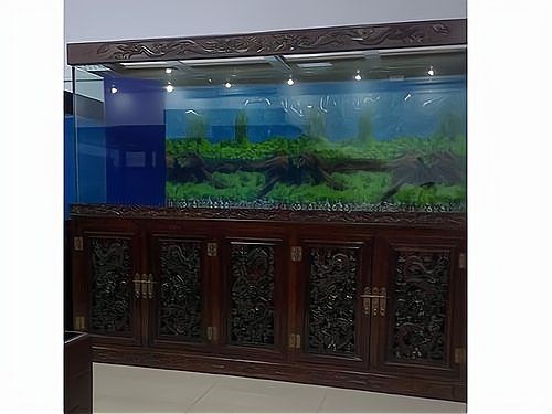 衢州魚缸批發市場,浙江衢州魚缸批發市場 全國水族館企業名錄 第6張 衢州魚缸批發市場,浙江衢州魚缸批發市場 衢州魚缸批發市場,浙江衢州魚缸批發市場 全國水族館企業名錄 第6張