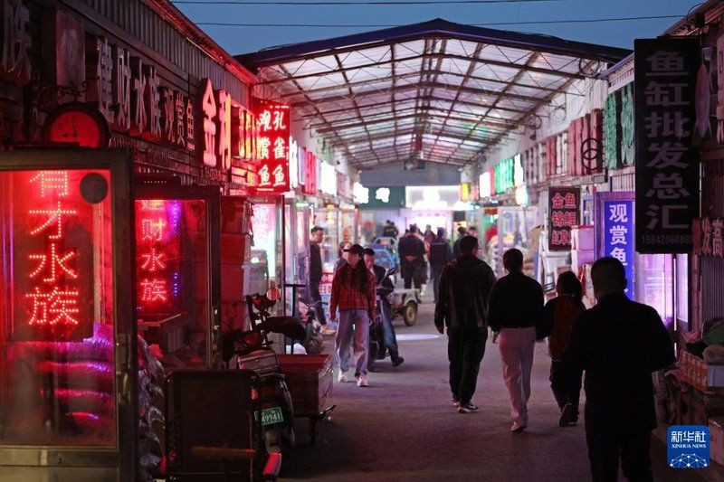 遼源魚缸批發市場，遼源魚缸批發市場發展趨勢