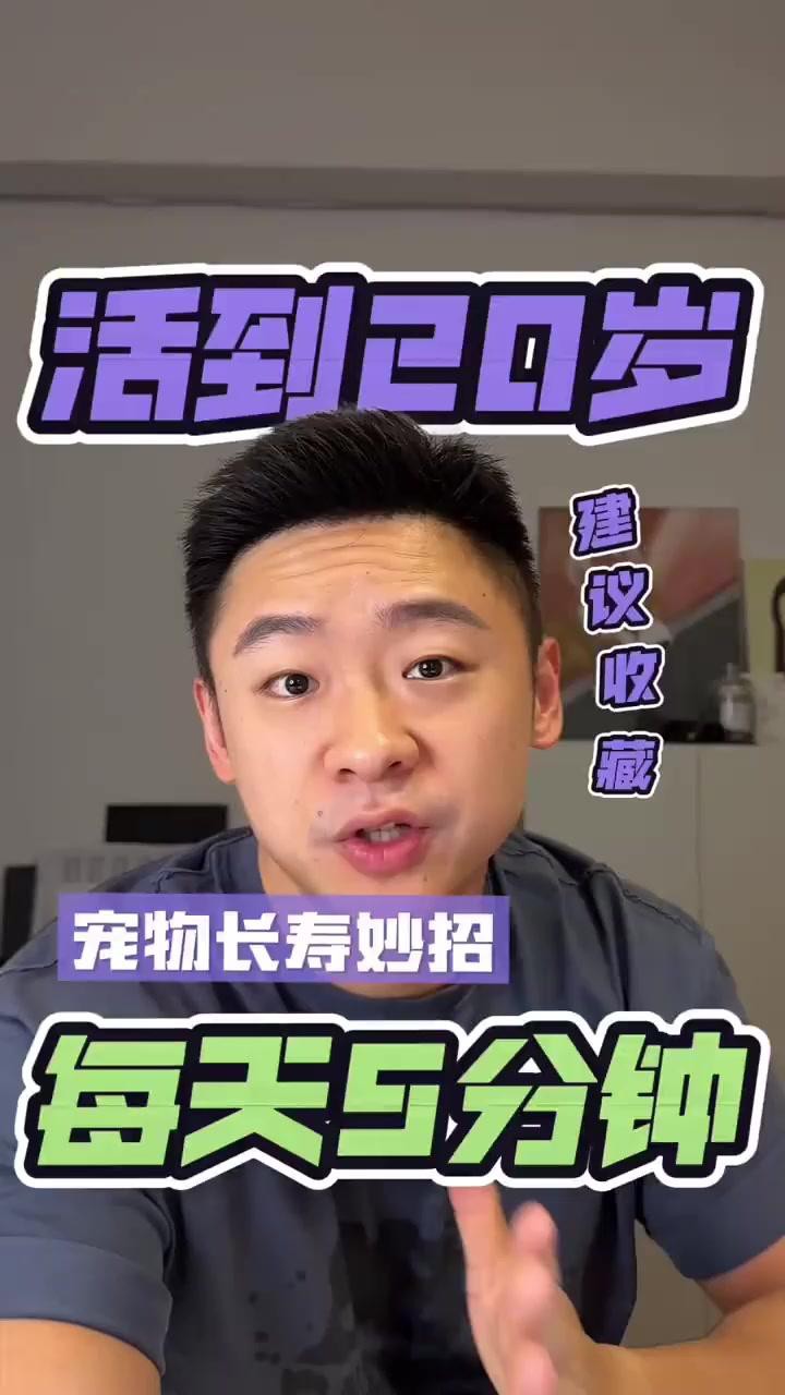 如何延長龍貓和貓的壽命？，萌寵解說show龍貓壽命有多長長壽小妙招 如何延長龍貓和貓的壽命？，萌寵解說show龍貓壽命有多長長壽小妙招 龍魚百科 第3張