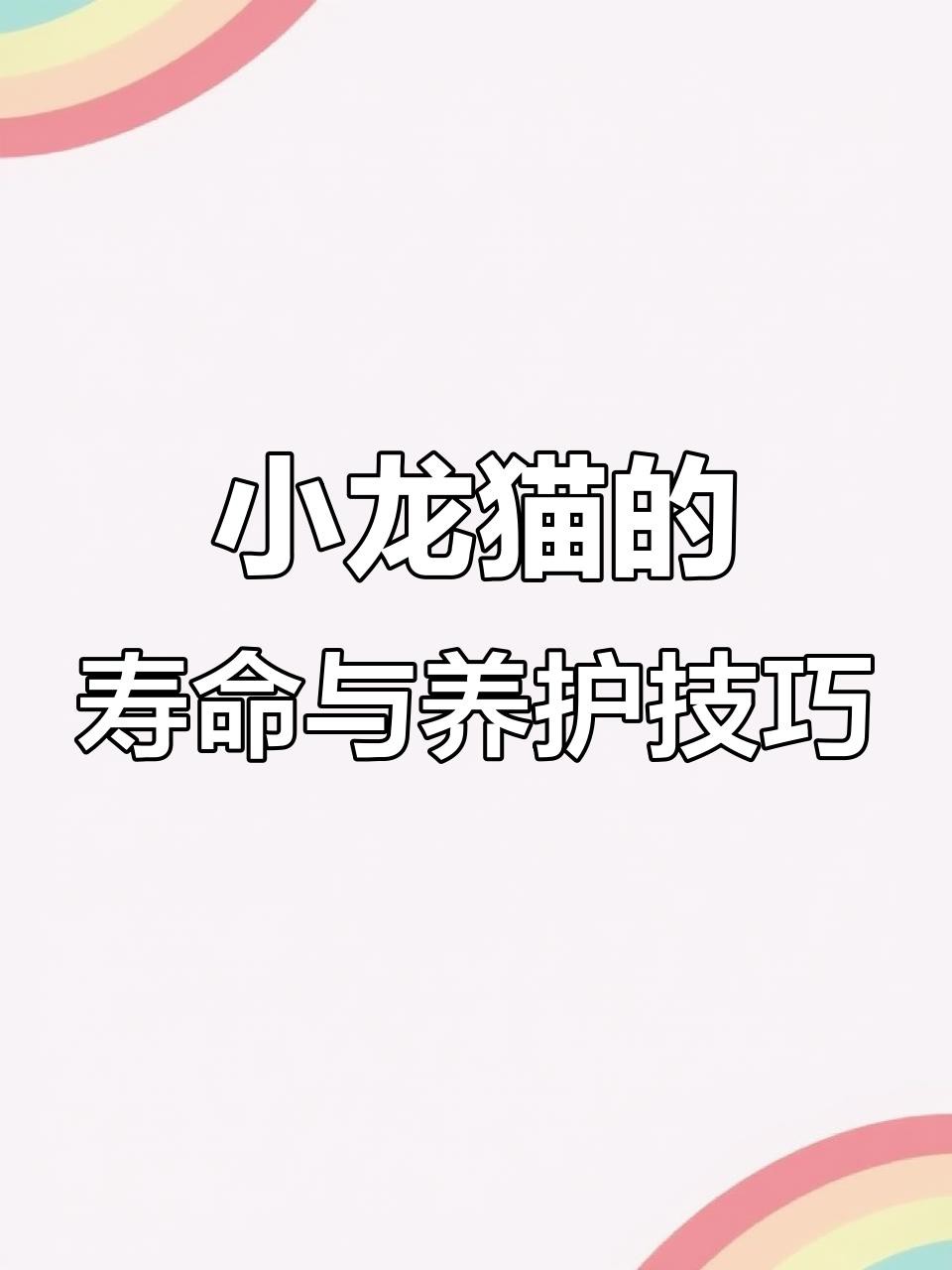 如何延長龍貓和貓的壽命？，萌寵解說show龍貓壽命有多長長壽小妙招 如何延長龍貓和貓的壽命？，萌寵解說show龍貓壽命有多長長壽小妙招 龍魚百科 第5張