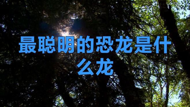 十大最強(qiáng)恐龍中哪個(gè)最有智慧？，十大最強(qiáng)恐龍中哪個(gè)最有智慧，傷齒龍是什么龍舞十一檔案庫(kù)