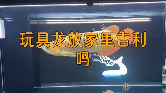 如何化解龍擺件的禁忌？，《如何化解龍擺件的禁忌》龍擺件的寓意和風(fēng)水作用