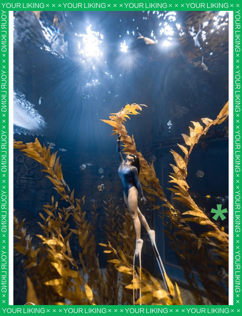 桂林水族店，桂林水族店經(jīng)營范圍 桂林水族店，桂林水族店經(jīng)營范圍 全國水族館企業(yè)名錄 第9張