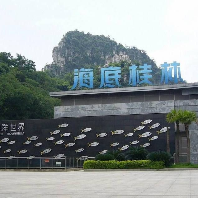 桂林水族店，桂林水族店經(jīng)營范圍 桂林水族店，桂林水族店經(jīng)營范圍 全國水族館企業(yè)名錄 第5張