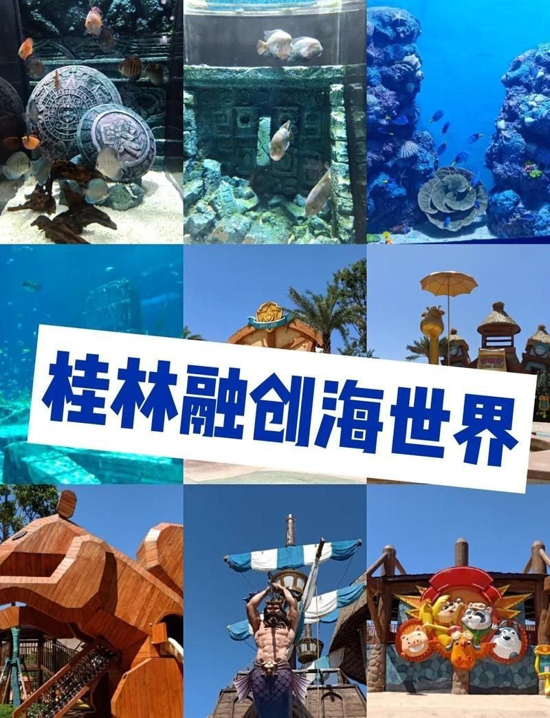桂林水族店，桂林水族店經(jīng)營范圍 桂林水族店，桂林水族店經(jīng)營范圍 全國水族館企業(yè)名錄 第11張