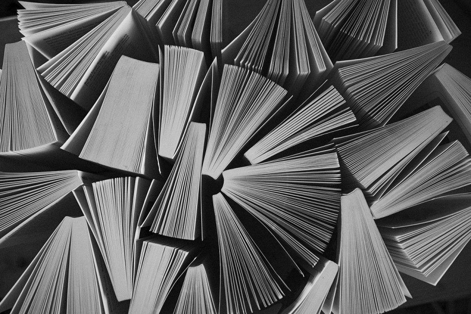 黑河水族批發(fā)市場(chǎng)，東北地區(qū)重要的水族產(chǎn)業(yè)集散地——黑河水族批發(fā)市場(chǎng)