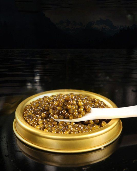 黑河水族批發(fā)市場(chǎng)，東北地區(qū)重要的水族產(chǎn)業(yè)集散地——黑河水族批發(fā)市場(chǎng)