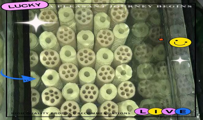 濱州魚缸維護，濱州地區(qū)的魚缸維護服務涵蓋多種場景與需求濱州魚缸維護全攻略