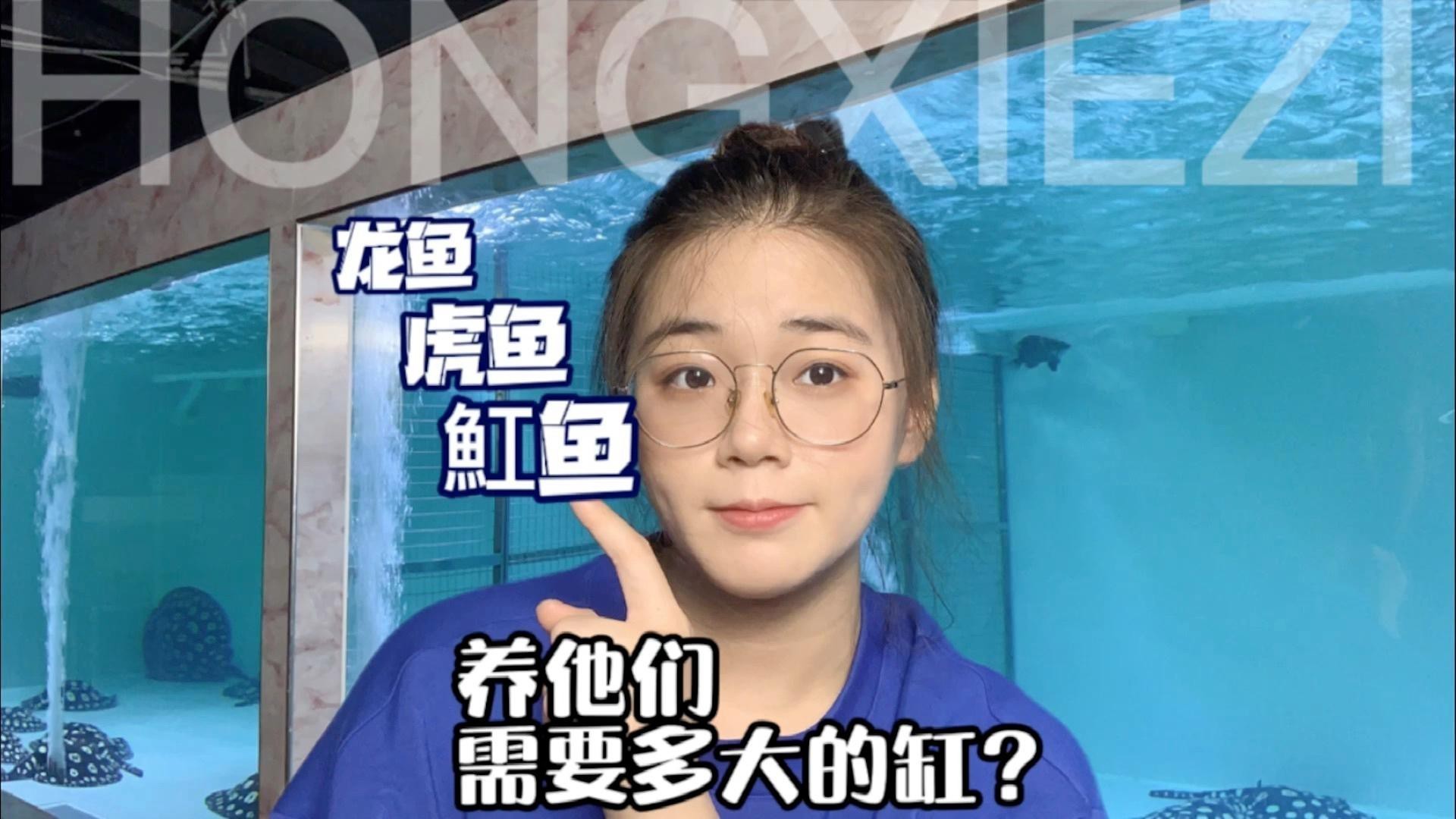 養(yǎng)紅龍魚(yú)需要多大的魚(yú)缸？，養(yǎng)紅龍魚(yú)需要多大的缸 養(yǎng)紅龍魚(yú)需要多大的魚(yú)缸？，養(yǎng)紅龍魚(yú)需要多大的缸 龍魚(yú)論壇 第6張