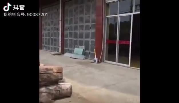 推薦一些龍魚木雕名家作品，龍魚木雕名家，如何辨別龍魚木雕的真偽？